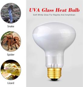 img 1 attached to Premium 100W Sun Glow Basking Spot Lamp UVA Glass Heat Bulb Soft White Light - 2 Pack for Reptile & Amphibian Terrariums