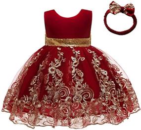 img 1 attached to 👗 Exquisite CMMCHAAH Pageant Lace Dresses for Baby Girls: Elegant Embroidery, Toddler Formal Dress with Headwear, Ages 0-6 Years