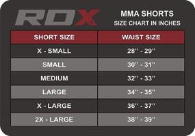 img 3 attached to RDX MMA Shorts: Grappling Martial Arts Training Gear, Breathable Fighting Trunks for Kickboxing