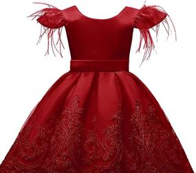 img 1 attached to Dresses Bowknot Embroider Pageant Wedding Girls' Clothing and Dresses