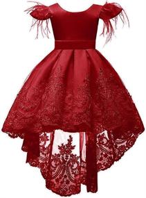 img 4 attached to Dresses Bowknot Embroider Pageant Wedding Girls' Clothing and Dresses