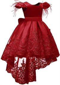 img 3 attached to Dresses Bowknot Embroider Pageant Wedding Girls' Clothing and Dresses