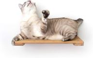 🐱 catastrophicreations 18" cat shelf: elevate your cat's play with wall mounted climb, lounge, and play furniture logo