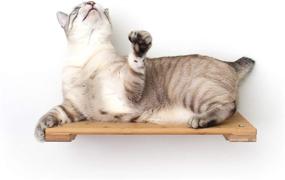 img 4 attached to 🐱 CatastrophiCreations 18" Cat Shelf: Elevate Your Cat's Play with Wall Mounted Climb, Lounge, and Play Furniture