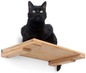 img 1 attached to 🐱 CatastrophiCreations 18" Cat Shelf: Elevate Your Cat's Play with Wall Mounted Climb, Lounge, and Play Furniture