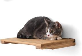 img 2 attached to 🐱 CatastrophiCreations 18" Cat Shelf: Elevate Your Cat's Play with Wall Mounted Climb, Lounge, and Play Furniture