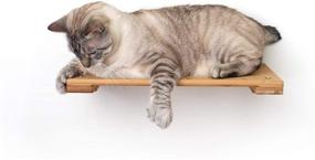 img 3 attached to 🐱 CatastrophiCreations 18" Cat Shelf: Elevate Your Cat's Play with Wall Mounted Climb, Lounge, and Play Furniture