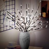 🌟 joiedomi 20'' 20led willow twig branch lights: ideal decor for christmas home party, wedding, garden, xmas, patio, bedroom - indoor/outdoor elegance логотип