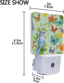 img 1 attached to Vintage Butterflies and Bird Print LED Night Light Lamp - 2 Pack 🦋 with Dusk to Dawn Sensor, Ideal for Bedroom, Bathroom, Hallway, and Stairways, Energy-saving 0.5W