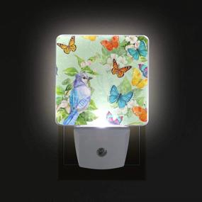 img 2 attached to Vintage Butterflies and Bird Print LED Night Light Lamp - 2 Pack 🦋 with Dusk to Dawn Sensor, Ideal for Bedroom, Bathroom, Hallway, and Stairways, Energy-saving 0.5W