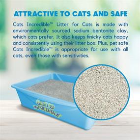 img 2 attached to 🐱 Recyclable Clumping Cat Litter Box - 18 lbs | Smell Squasher, Natural Clay Formula | Prevents Ammonia Build-Up | Unscented