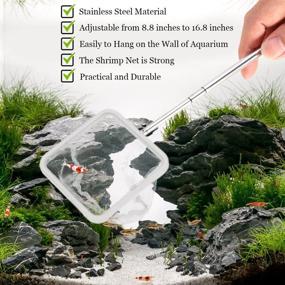 img 2 attached to 🦐 SunGrow Shrimp Net: Professional-Grade Stainless Steel Telescopic Handle for Easy Shrimp and Aquatic Pet Catching