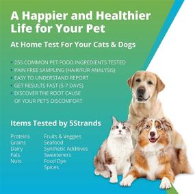 img 3 attached to Pet Food Intolerance Test - 5Strands, 255 Items, Cat or Dog Sensitivity 🐾 Kit, Hair Analysis for Pet Health, Accurate for All Breeds, Fast Results in 5-7 Days