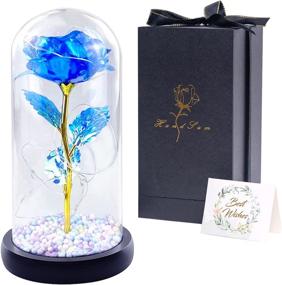 img 4 attached to 🌹 Enchanted Blue Galaxy Rose in Glass Dome - Christmas Gift for Her, Women's Birthday Gift - Adjustable LED Lights, Beauty and the Beast Rose for Valentine's Day, Anniversary, and Mother's Day