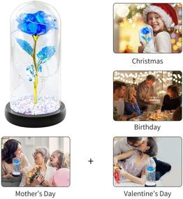 img 1 attached to 🌹 Enchanted Blue Galaxy Rose in Glass Dome - Christmas Gift for Her, Women's Birthday Gift - Adjustable LED Lights, Beauty and the Beast Rose for Valentine's Day, Anniversary, and Mother's Day