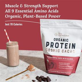 img 2 attached to 🌱 Delicious and Nutritious Organic Pea Protein Powder - Cosmic Cacao Chocolate Flavor | Low-carb Vegan Protein Blend with Pea, Brown Rice, Pumpkin, Sacha Inchi | 20 Servings, 17 oz - by Live Conscious