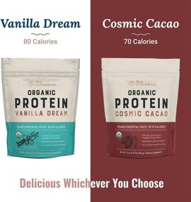 img 3 attached to 🌱 Delicious and Nutritious Organic Pea Protein Powder - Cosmic Cacao Chocolate Flavor | Low-carb Vegan Protein Blend with Pea, Brown Rice, Pumpkin, Sacha Inchi | 20 Servings, 17 oz - by Live Conscious