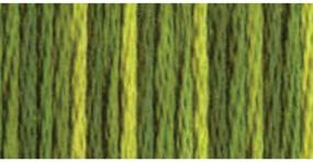 img 1 attached to Vibrant DMC 417F-4066 Color Variations Embroidery Floss in Amazon Moss - 8.7-Yard Spool