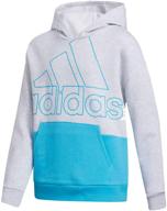 adidas pullover sweatshirt colorblock heather logo