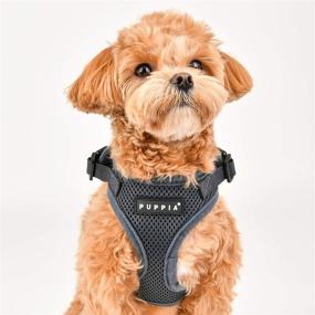 img 1 attached to 🐾 Puppia RiteFit SEO-Optimized Harness