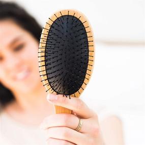 img 1 attached to 👩 Detangler Brush Hair Brush - For Effortless Detangling - Ideal for Women, Men, and Kids - Works with Any Hair Products - Wet or Dry - Hair Detangler Bristle Brush - Made with Bamboo