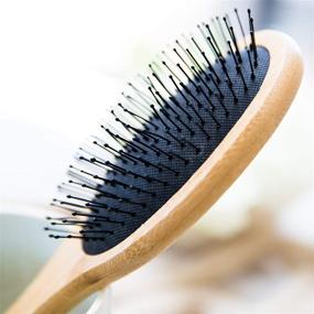 img 2 attached to 👩 Щетка-разглаживатель для волос - для безупречного разглаживания - идеально подходит для женщин, мужчин и детей - работает с любыми средствами для волос - влажные или сухие волосы - щетка с натуральным ворсом для разглаживания волос - изготовлена из бамбука