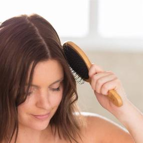 img 3 attached to 👩 Detangler Brush Hair Brush - For Effortless Detangling - Ideal for Women, Men, and Kids - Works with Any Hair Products - Wet or Dry - Hair Detangler Bristle Brush - Made with Bamboo