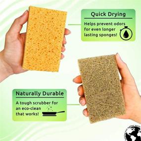 img 1 attached to 🌿 10-Pack of Natural Sponges - Eco-Friendly Kitchen Sponge for Sustainable Living, Biodegradable Plant-Based Cleaning Dish Sponge