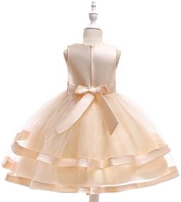 img 2 attached to 👗 COMISARA 6M-9T Kids Pageant Flower Girl Dress: Perfect Party & Wedding Attire for Little Girls