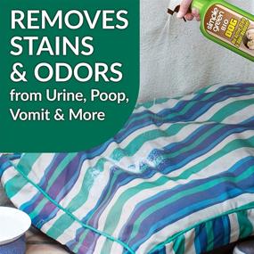 img 3 attached to 🐶 SIMPLE GREEN Active Bio Dog Stain & Odor Remover - Enzyme Cleaner for Carpet, Rugs & Fabric, Eliminates Urine Odor