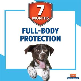 img 1 attached to 🐶 Hartz UltraGuard Flea & Tick Collar: 7-Month Protection for Dogs & Puppies, White, Up to 20 Inch Neck
