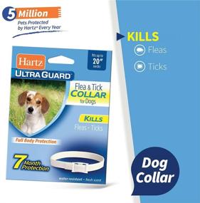 img 3 attached to 🐶 Hartz UltraGuard Flea & Tick Collar: 7-Month Protection for Dogs & Puppies, White, Up to 20 Inch Neck