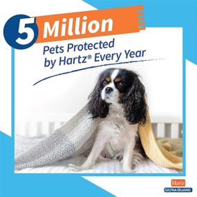 img 2 attached to 🐶 Hartz UltraGuard Flea & Tick Collar: 7-Month Protection for Dogs & Puppies, White, Up to 20 Inch Neck