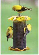 🐦 birds choice ff116a yellow nyjer forever feeder - innovative mesh feeder for optimal bird feeding experience, 1 quart capacity, 5''w x 6''h logo