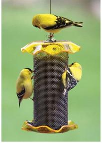 img 4 attached to 🐦 Birds Choice FF116A Yellow Nyjer Forever Feeder - Innovative Mesh Feeder for Optimal Bird Feeding Experience, 1 Quart Capacity, 5''W x 6''H