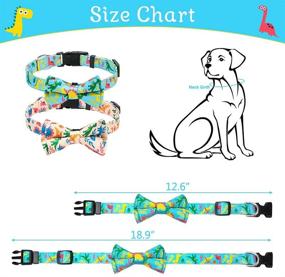 img 2 attached to 🐾 Fun and Stylish 2 Pack Dog Collar Set: Adjustable with Bow Tie, Quick Release Buckle - Perfect for Small Medium Dogs and Puppies