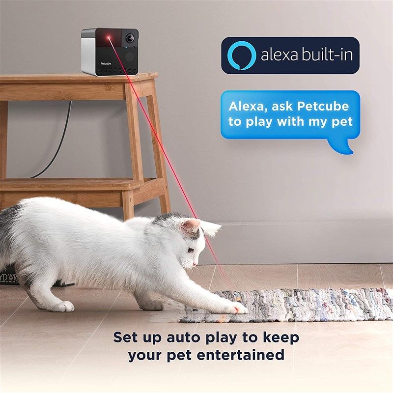 Smart Pet Camera with Treat Dispenser & Tossing, Dog Cat Camera, 2.4G WiFi,  1080P Night Vision Camera, Live Video, 2 Way Audio Communication Designed  for Dogs and Cats (HONGSA Pet Camera) 
