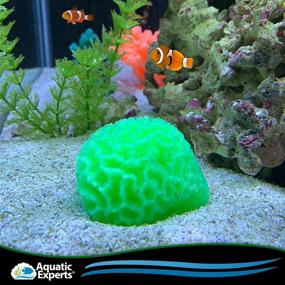 img 3 attached to Artificial Aquarium Coral Freshwater Decorations