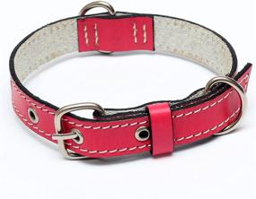 img 2 attached to ForPups Genuine Leather Dog Collars: Unbreakable and Indestructible – Strongest Hand-Stitched Collars on Amazon!