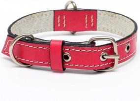 img 3 attached to ForPups Genuine Leather Dog Collars: Unbreakable and Indestructible – Strongest Hand-Stitched Collars on Amazon!