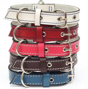 img 4 attached to ForPups Genuine Leather Dog Collars: Unbreakable and Indestructible – Strongest Hand-Stitched Collars on Amazon!