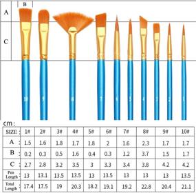 img 1 attached to Набор кистей Ekezon из 10 штук - художественных кистей с нейлоновым ворсом для акрила, масла, акварели, гуаши - для лица, тела, ногтей, миниатюр, деталей, росписи на камне - профессиональные наборы для взрослых - идеальные кисти для рисования (10шт)