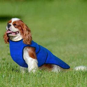 img 3 attached to Lautus Pets Lightweight Cooling Dog Vest - Ideal Dog Cooling Jacket for Hot Weather.