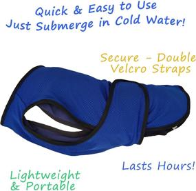 img 2 attached to Lautus Pets Lightweight Cooling Dog Vest - Ideal Dog Cooling Jacket for Hot Weather.