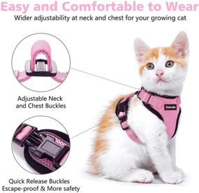 img 2 attached to 🐱 Escape-Proof Cat Harness and Leash Set by Dooradar - Adjustable Vest Harnesses for Walking, Ensuring Safety - Easy Control, Breathable Mesh Jacket with Reflective Strips for Cats