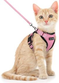 img 4 attached to 🐱 Escape-Proof Cat Harness and Leash Set by Dooradar - Adjustable Vest Harnesses for Walking, Ensuring Safety - Easy Control, Breathable Mesh Jacket with Reflective Strips for Cats