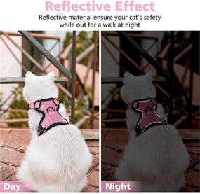 img 1 attached to 🐱 Escape-Proof Cat Harness and Leash Set by Dooradar - Adjustable Vest Harnesses for Walking, Ensuring Safety - Easy Control, Breathable Mesh Jacket with Reflective Strips for Cats