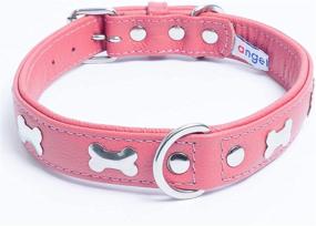 img 4 attached to Genuine Leather Bones Dog Collar - Rotterdam Bones Collection by Angel Pet Supplies: Handmade, Stainless Steel Hardware, Soft Padded Bottom