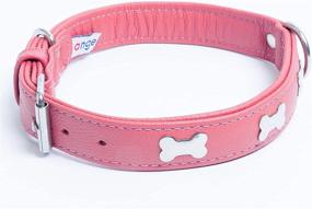 img 2 attached to Genuine Leather Bones Dog Collar - Rotterdam Bones Collection by Angel Pet Supplies: Handmade, Stainless Steel Hardware, Soft Padded Bottom