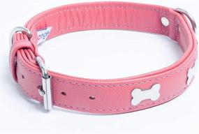 img 3 attached to Genuine Leather Bones Dog Collar - Rotterdam Bones Collection by Angel Pet Supplies: Handmade, Stainless Steel Hardware, Soft Padded Bottom